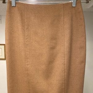 Max Mara Skirt